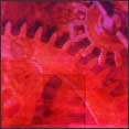 red image